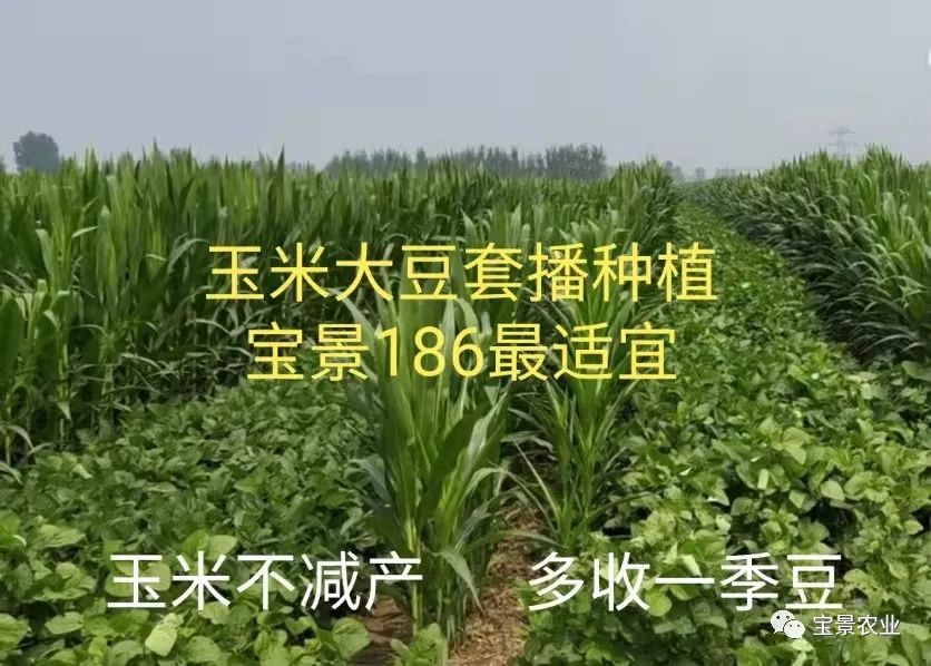 1648797177334618.jpg 04.jpg